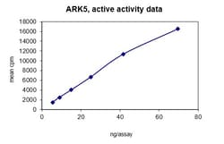 Eurofins DiscoverX ARK5 Protein, Active 10 &mu;g | Buy Online | Eurofins DiscoverX | Fisher Scientific